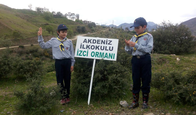 11066_b7.jpg