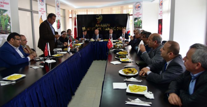 11186_b3.jpg