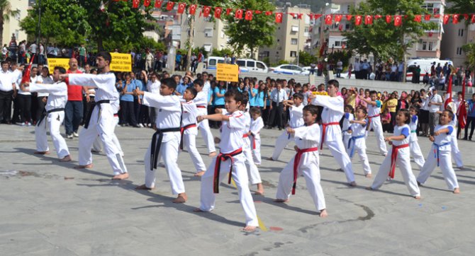 11380_b5.jpg