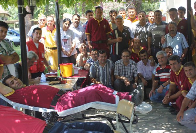 11544_b6.jpg