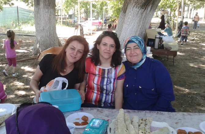 11656_b3.jpg