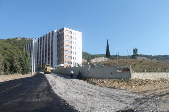 13157_b2.jpg