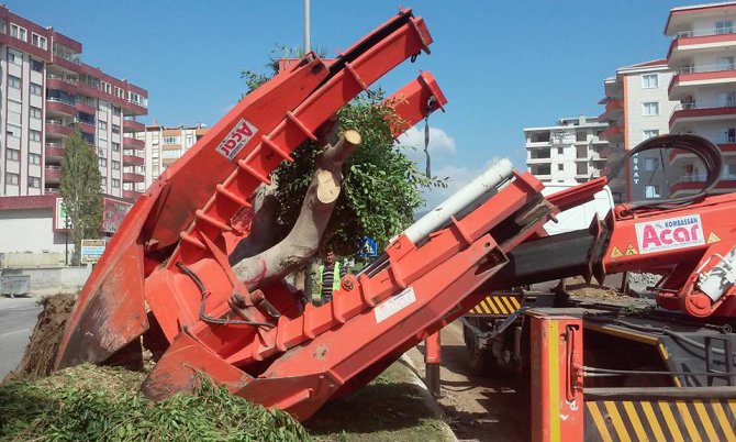 agac-nakli-(17).jpg