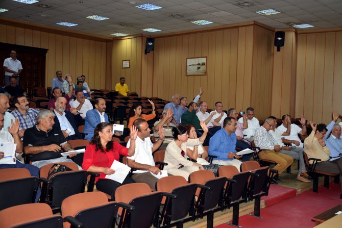 akd_8140.jpg