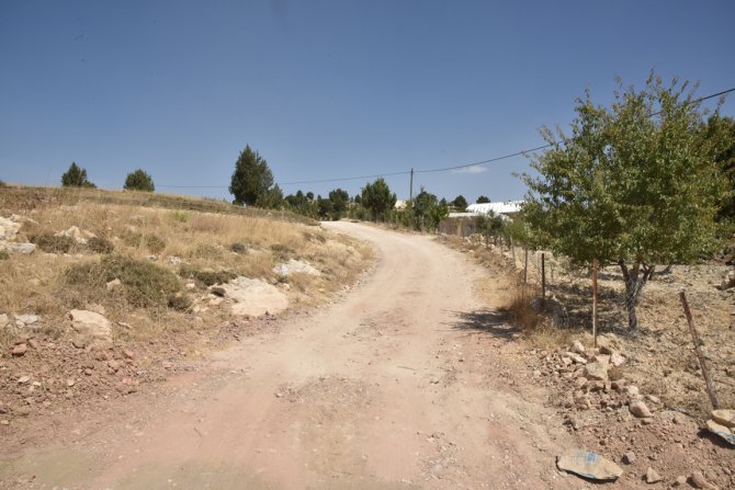 akpinar-(3).jpg