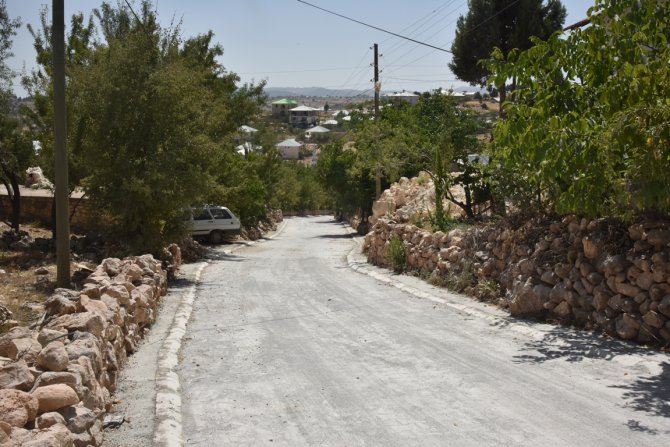 akpinar-(8).jpg