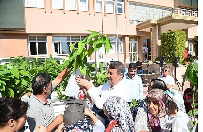 avokado.jpg
