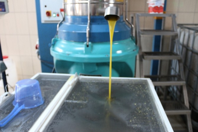 aw561132_02.jpg