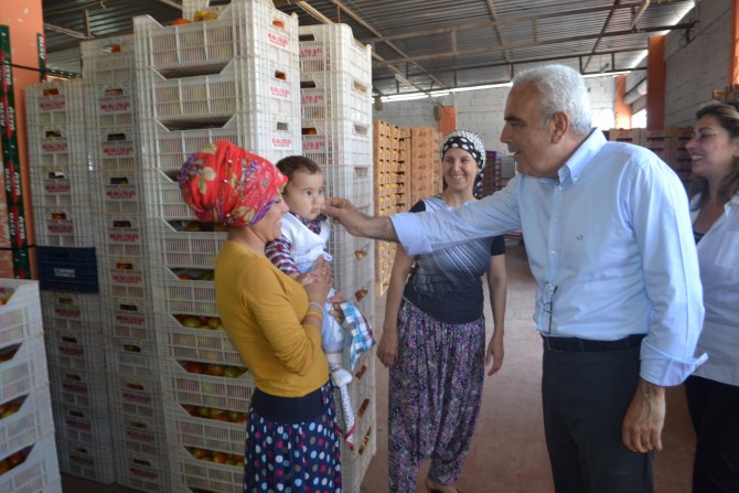 baysan-erdemli-gulnar-7.jpg