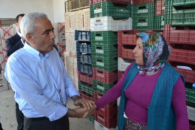 baysan-erdemli-gulnar-9.jpg