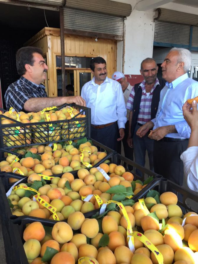 baysan-erdemli-gulnar6.jpg