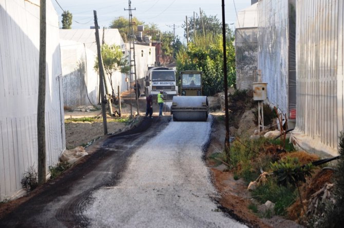 bozdogan-(2).jpg