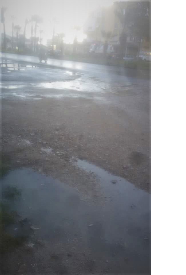 bulvar2.jpg