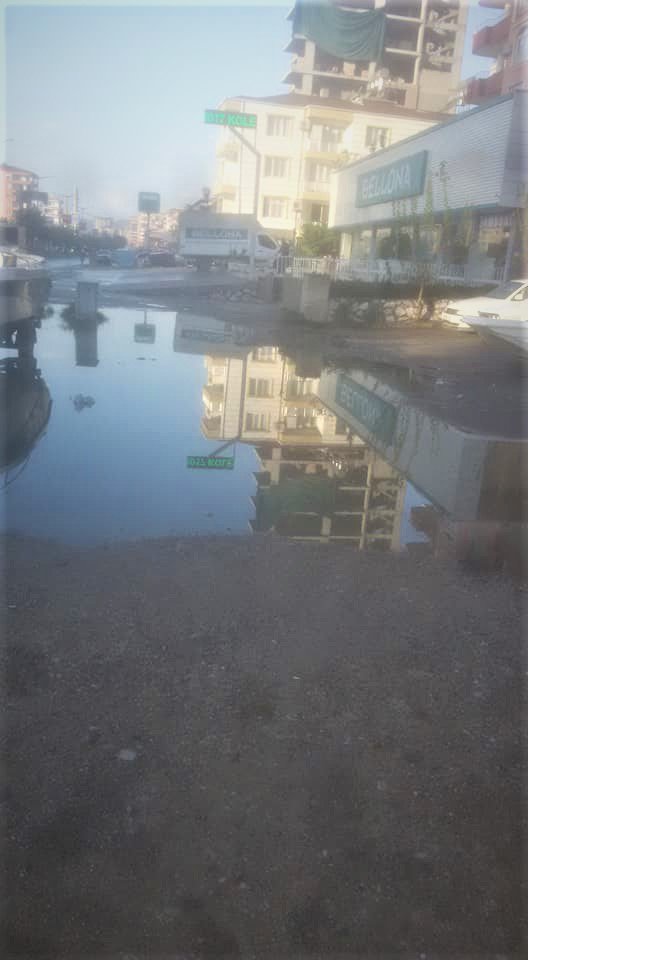 bulvar4.jpg
