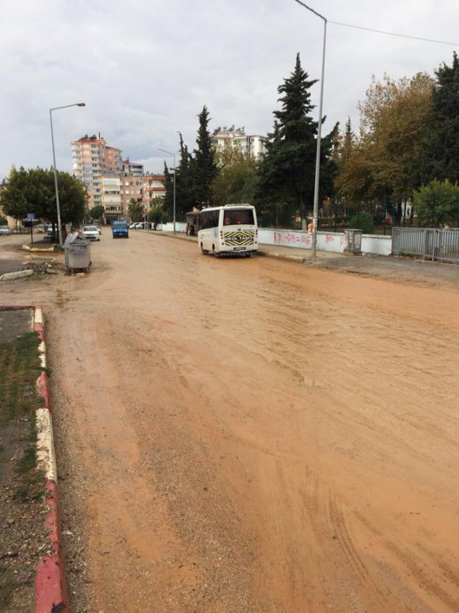 camur2.jpg