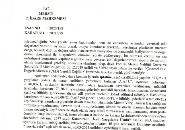 dava2.jpg