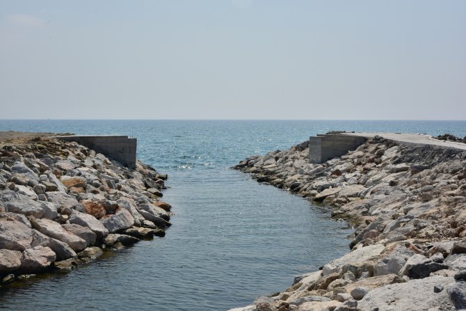dsc_6284.jpg