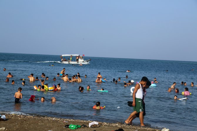 dsc_8403.jpg
