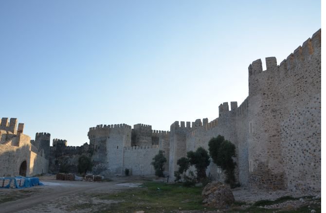 dsc_8787.jpg