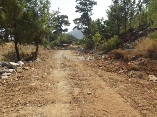 dscf0913.jpg