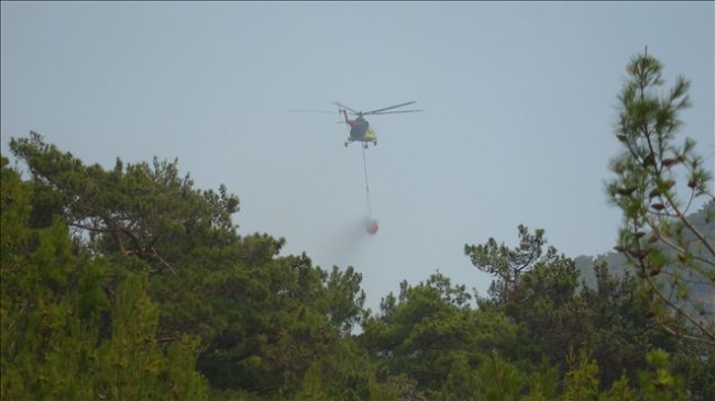 heli.jpg