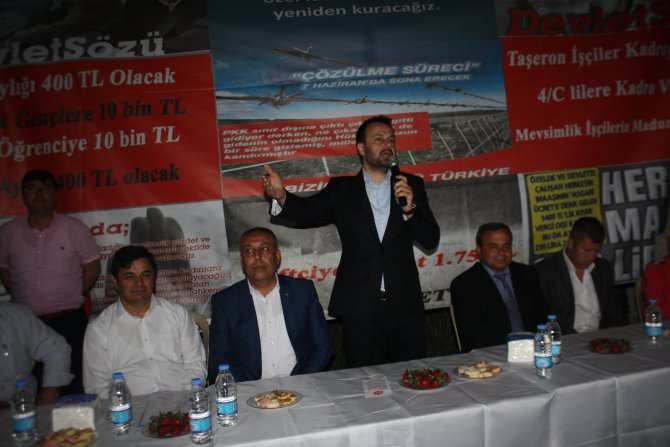 img_8667.jpg