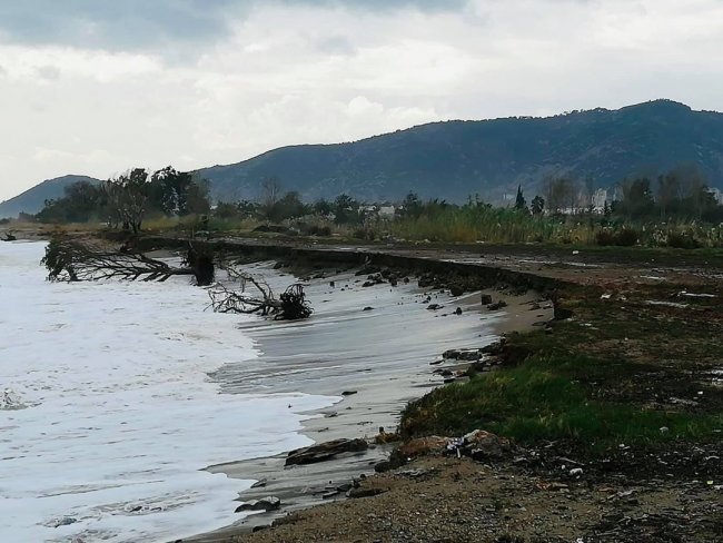 karaagac3.jpg