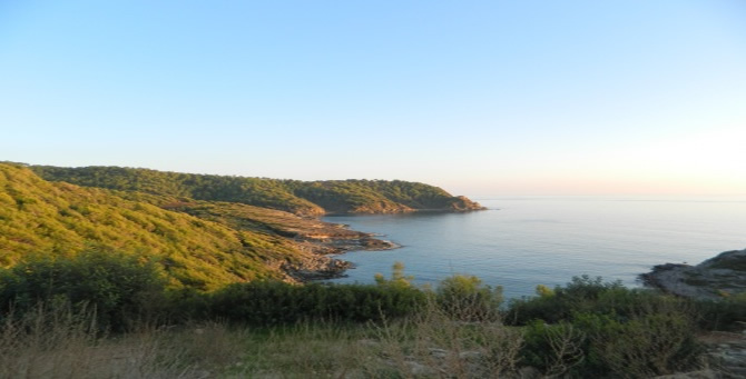 melenia-1.jpg
