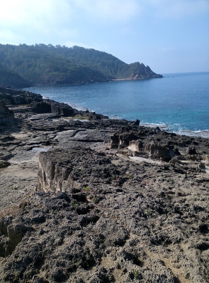 melenia-13.jpg