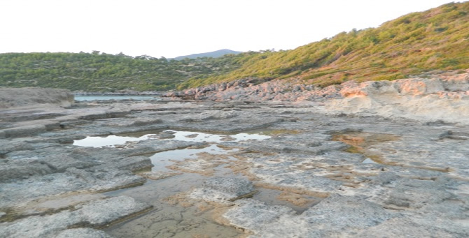 melenia-3.jpg