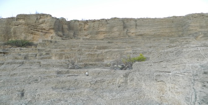 melenia-8.jpg