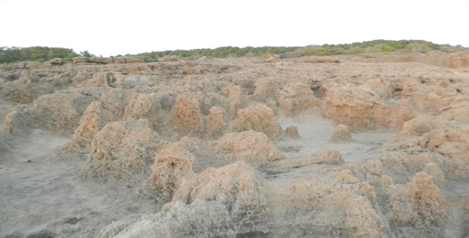 melenia-9.jpg