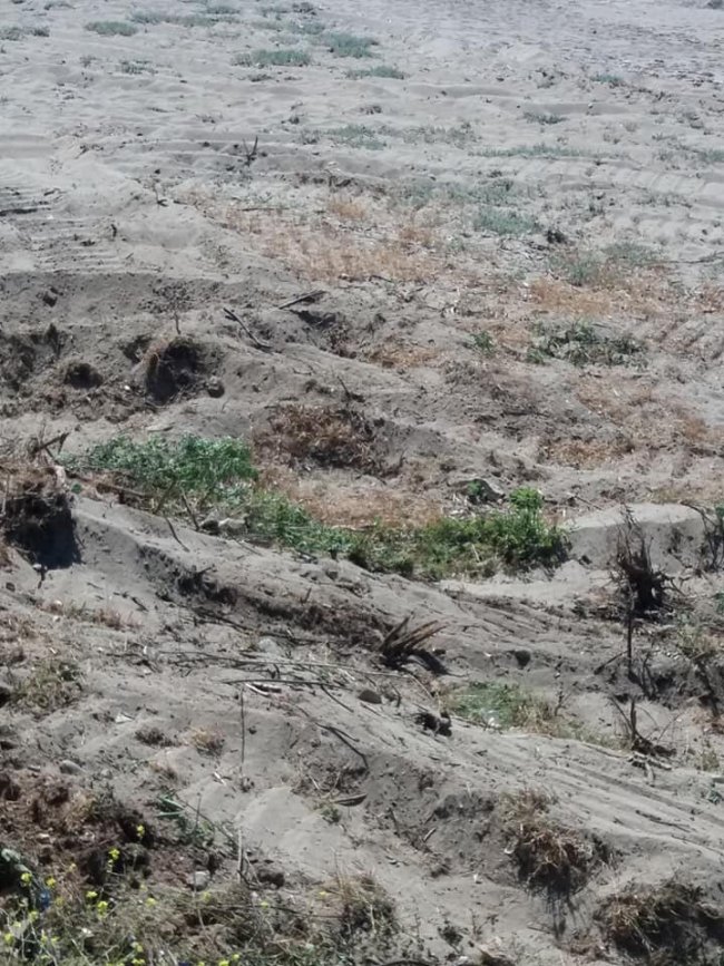 mersin6.jpg