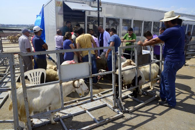 mobil-kesim-uniteleri’ne-mersinlilerden-yogun-_--c4°lgi-(8).jpg