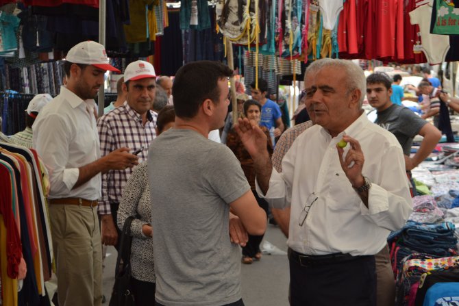 mustafa-baysan-toroslar-4.jpg