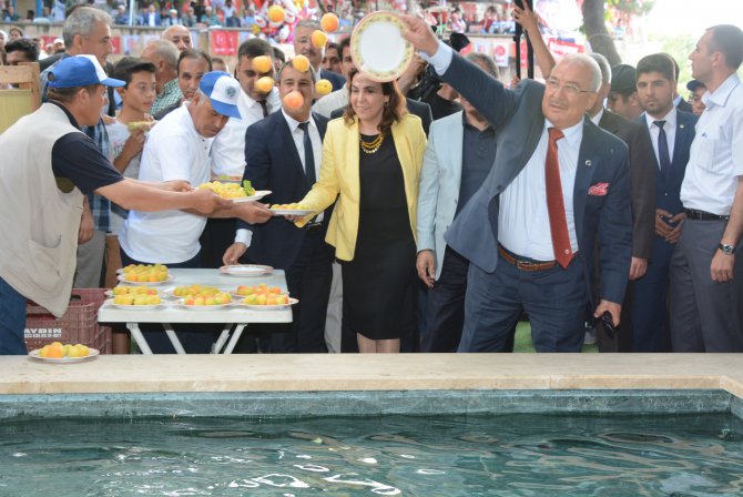 mut-ta-kayisi-fest-val--co-kusu-(1).jpg