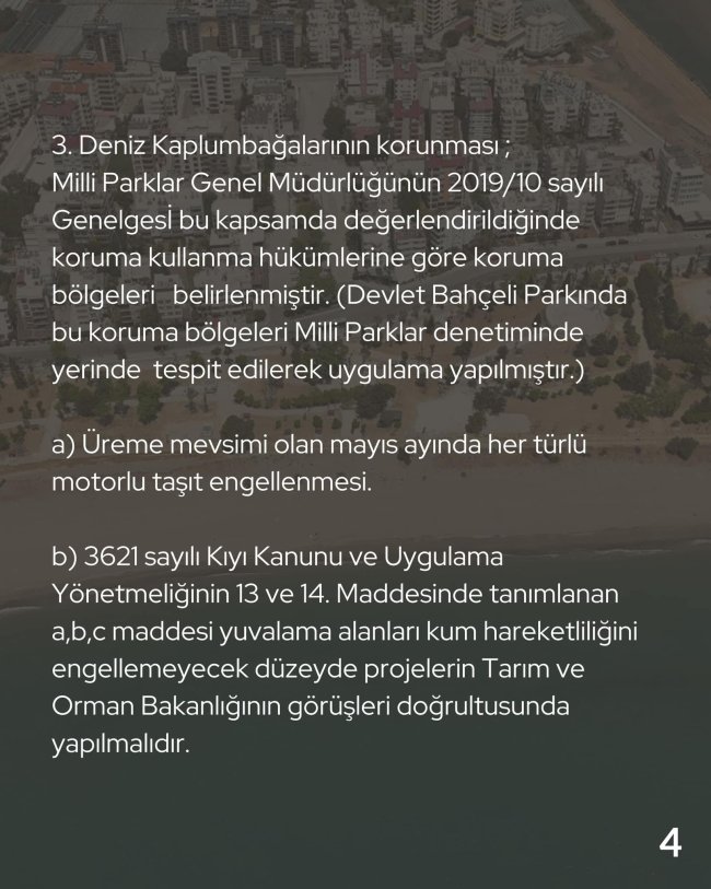 r4.jpg