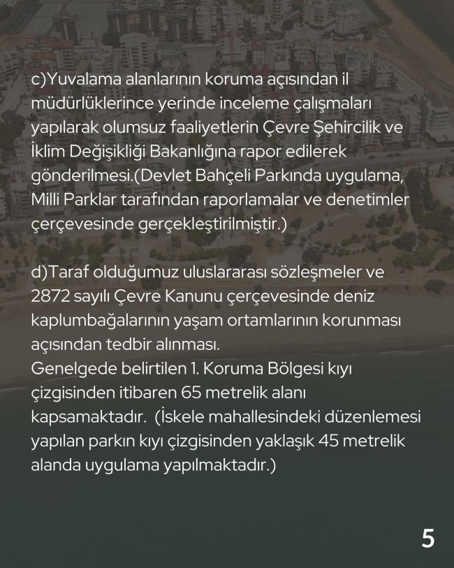 r5.jpg