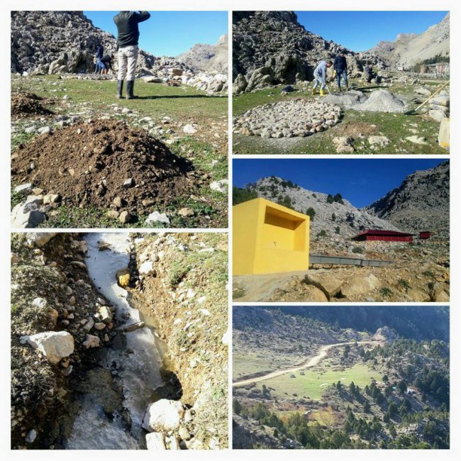 yayla.jpg