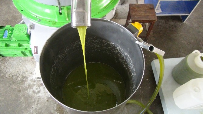 zeytin-ureticisi-altin-yilini-yasayacak_27f8758.jpg